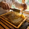 Pure Raw Hill Station Natural Multi Floral Honey - Image 2